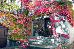 改写成澳大利亚足球队成员选择退出比赛