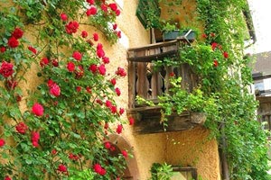 加拿大NBL联赛冠军争夺激烈升温！