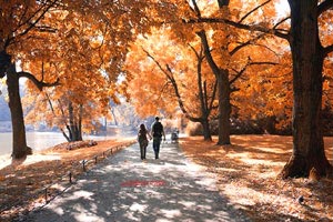 纽卡斯尔连败告急，主帅面临下课危机，球队调整之路